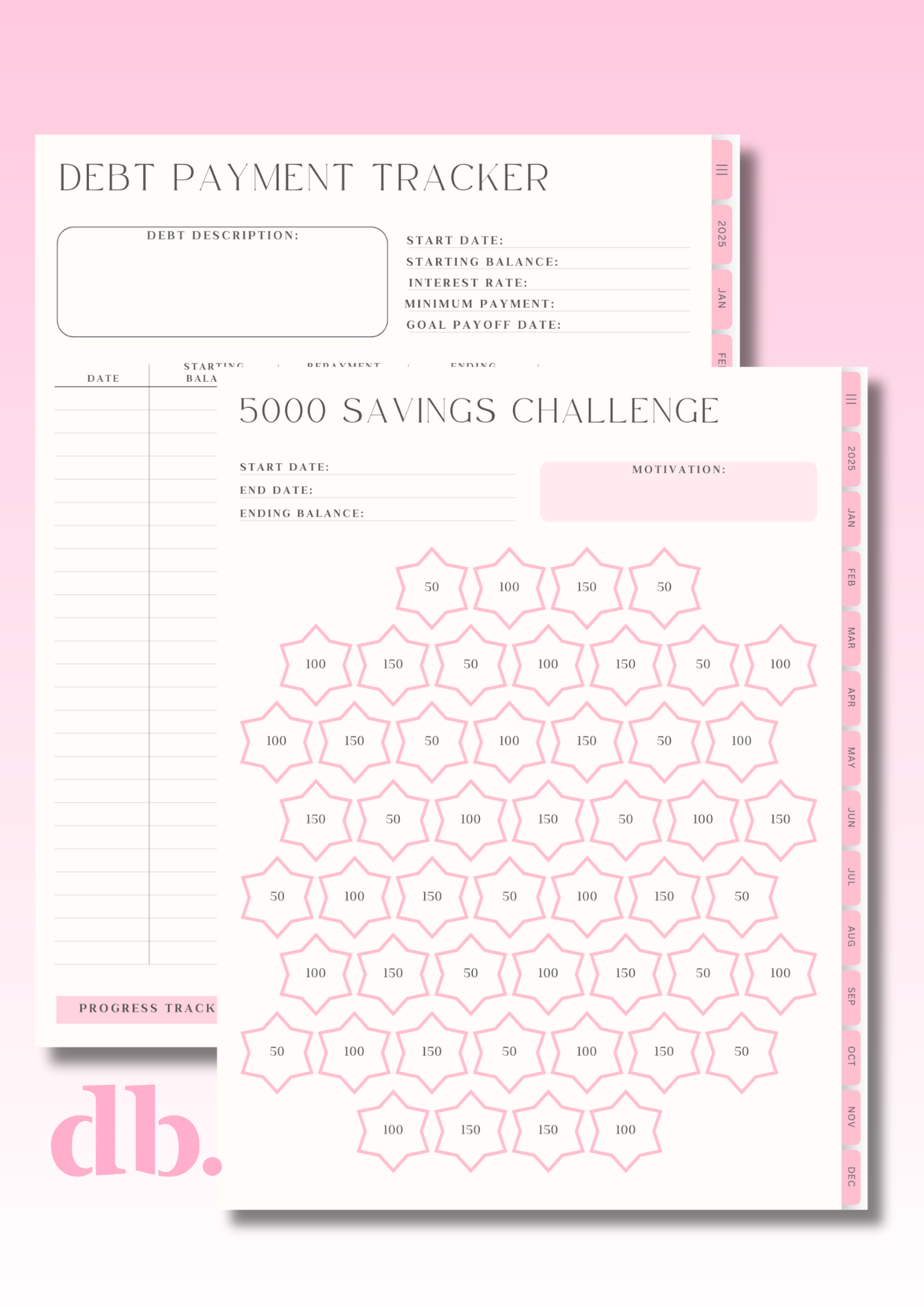 2025 Budget Planner - With Resell Rights - PLR